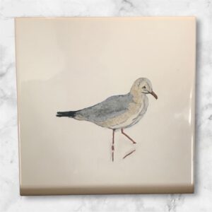 plaque mouette